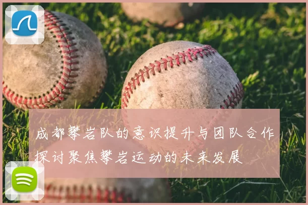 成都攀岩队的意识提升与团队合作探讨聚焦攀岩运动的未来发展