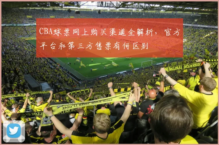CBA球票网上购买渠道全解析,官方平台和第三方售票有何区别