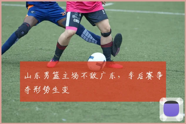 山东男篮主场不敌广东，季后赛争夺形势生变