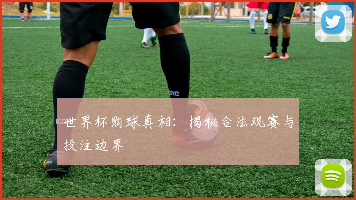 世界杯购球真相:揭秘合法观赛与投注边界
