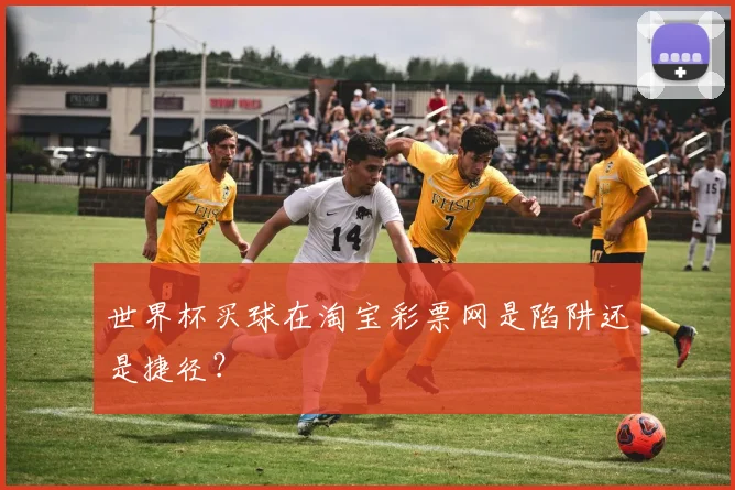 世界杯买球在淘宝彩票网是陷阱还是捷径？