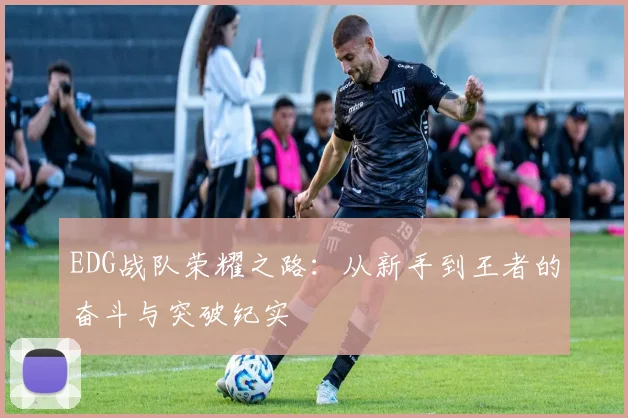 EDG战队荣耀之路：从新手到王者的奋斗与突破纪实