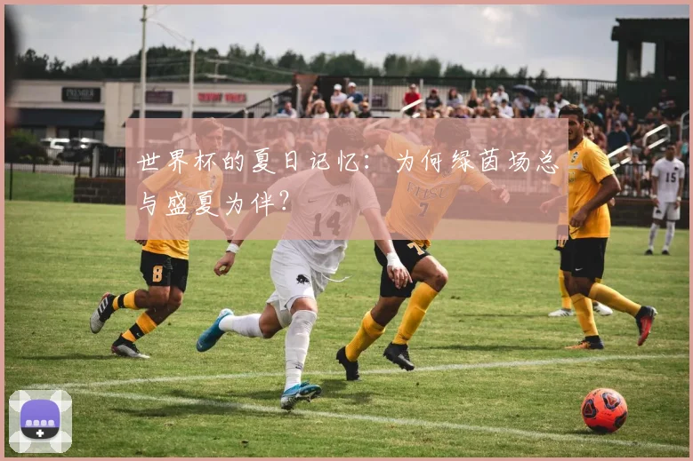 世界杯的夏日记忆:为何绿茵场总与盛夏为伴?