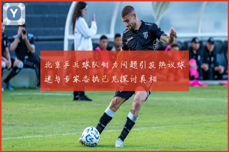 北京乒乓球队耐力问题引发热议球迷与专家各执己见探讨真相
