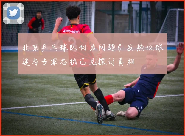 北京乒乓球队耐力问题引发热议球迷与专家各执己见探讨真相