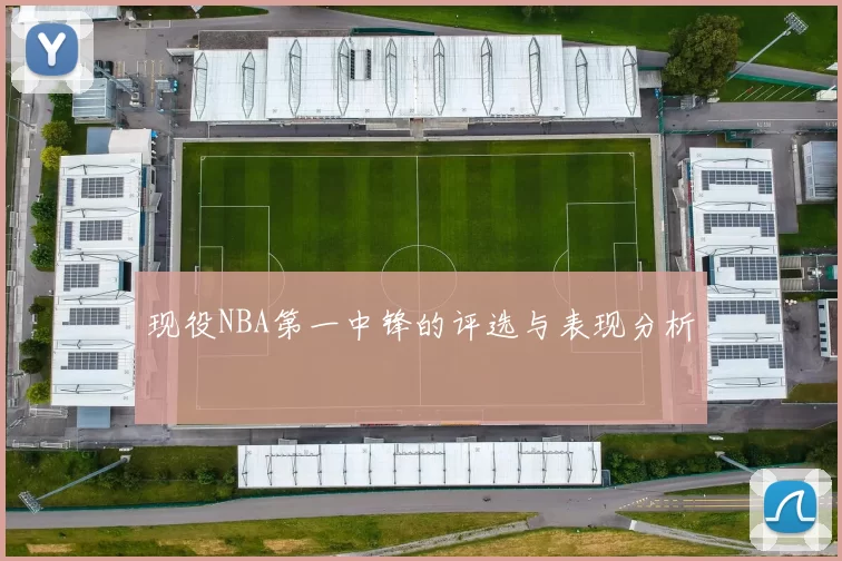 现役NBA第一中锋的评选与表现分析