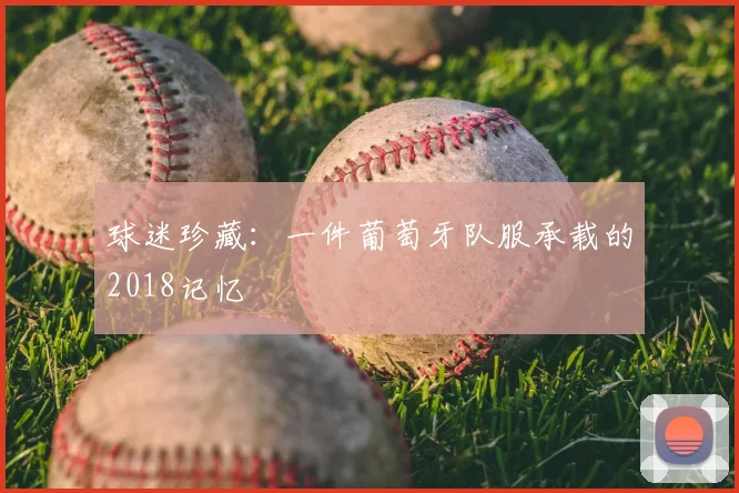 球迷珍藏:一件葡萄牙队服承载的2018记忆