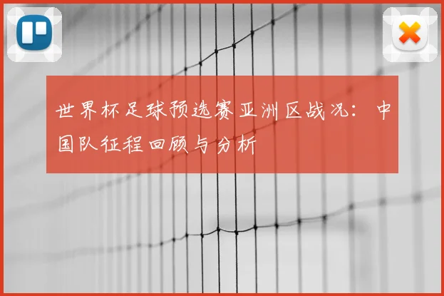世界杯足球预选赛亚洲区战况:中国队征程回顾与分析