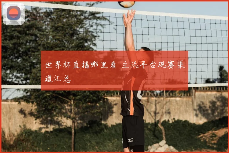 世界杯直播哪里看 主流平台观赛渠道汇总