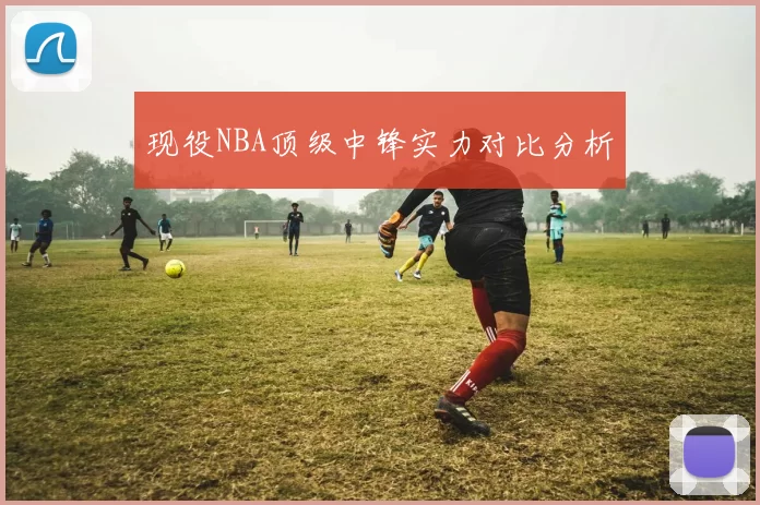 现役NBA顶级中锋实力对比分析